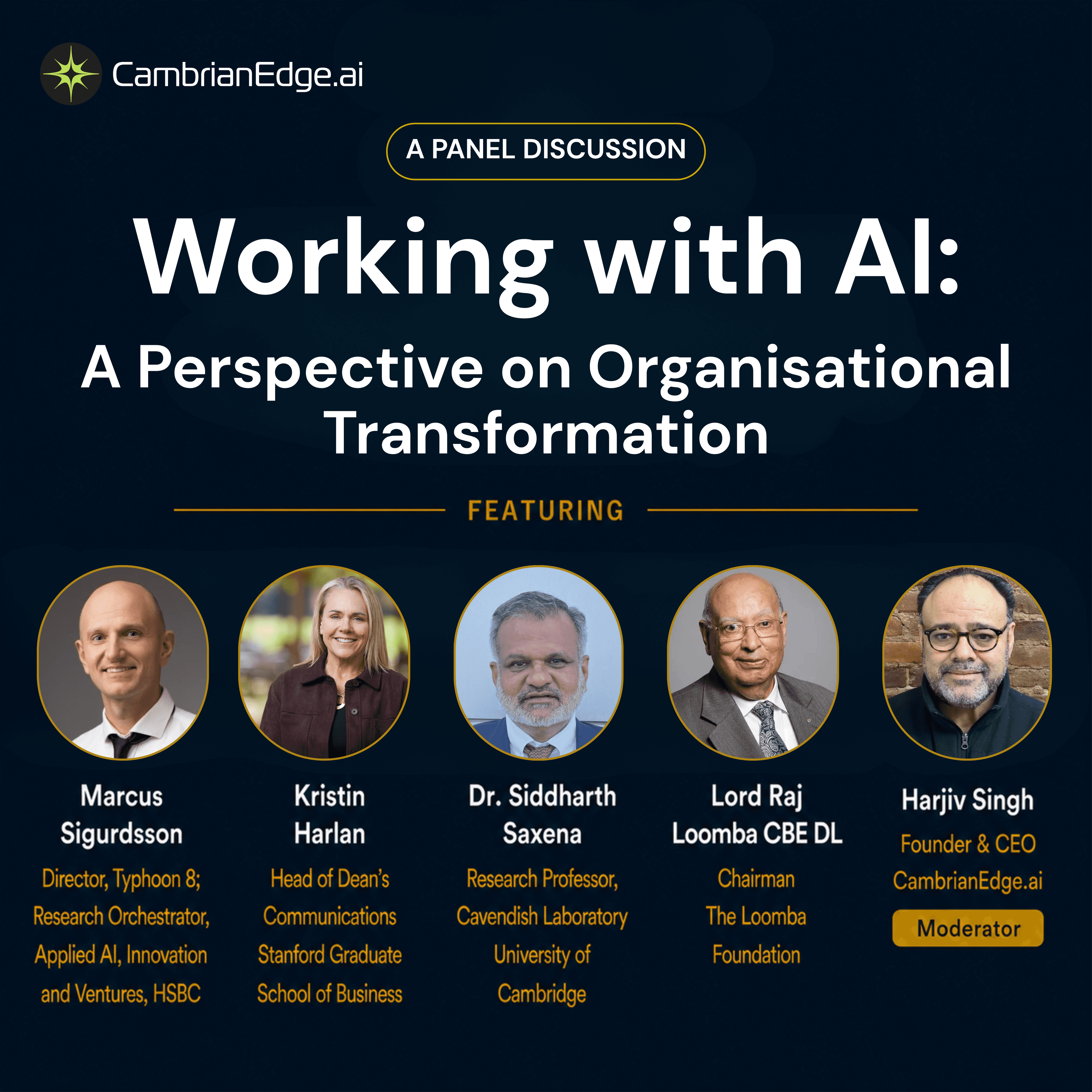Working with AI: A Perspective on Organisational Transformation — promotional poster